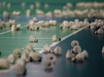 Apa Penyebab Zhang Zhi Jie Meninggal? Ini Kata Asosiasi Bulutangkis China