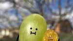 Lucu Banget! Begini Buah-buahan Kalau Foto Bareng Kakek dan Neneknya