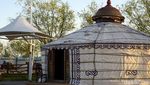Foto: Rumah Suku Mongol yang Unik