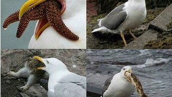 Siapa nih yang buka puasanya kalap begini? (Twitter)