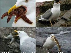 Aneka Meme Lucu Bertema Buka Puasa