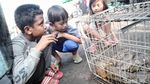 Ada Ular Piton di Sungai, Warga Sungai Bambu Heboh