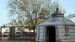 Foto: Rumah Suku Mongol yang Unik
