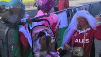 Di tengah keramaian warga dan turis di Windsor, Camilla asyik tidur di atas stroller yang dibawa pemiliknya. Sesekali anjing berusia 10 tahun ini terbangun saat keberadaannya jadi sasaran foto turis lainnya.  (Foto: Indah Mutiara Kami/detikcom)