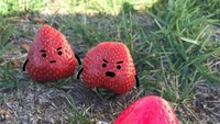Stawberry plastik aja dibilang palsu sama buah strawberry asli. Gimana kalau manusia, ya? Foto: Instagram @sean_charmatz