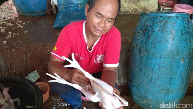 Pasokan Ayam Kampung Minim, Harga Tembus Rp 90.000/Ekor