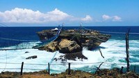 Pantai Timang berlokasi di Tepus, Kabupaten Gunungkidul, DI Yogyakarta. Pantai ini cukup populer di kalangan turis lokal hingga mancanegara (astoneng/Instagram)
