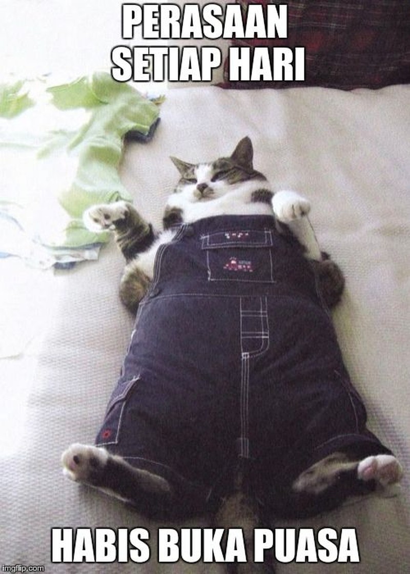 meme buka puasa.