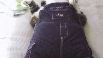 Kekenyangan, masalah umum setiap habis buka puasa (Twitter)