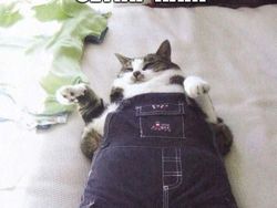 Aneka Meme Lucu Bertema Buka Puasa