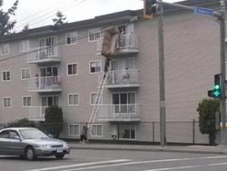 Potret Viral Detik-detik Sebelum Tertimpa Musibah