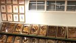 Foto: Museum yang Bikin Merinding di Italia