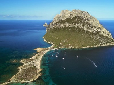 Foto: Pulau yang Jadi Kerajaan Terkecil Dunia Foto: Pulau yang Jadi Kerajaan Terkecil Dunia