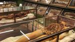 Foto: Museum yang Bikin Merinding di Italia