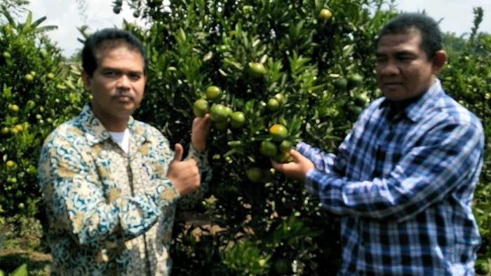 Foto: Kementan Foto: Kementan