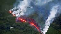 Kebakaran hutan akibat lava Gunung Kilauea. REUTERS/Terray Sylvester.