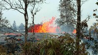 Lava juga membakar pohon-pohon. KRIS BURMEISTER/via REUTERS.