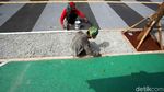 Cantiknya Pedestrian Jalan di Kawasan GBK Senayan