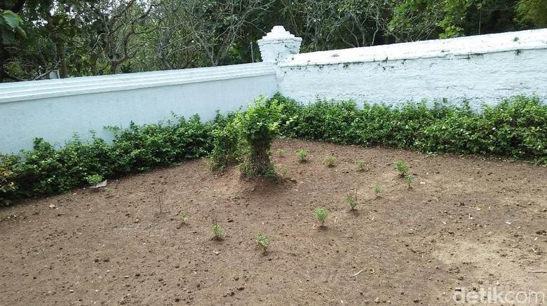 Namanya Sangat Tenar, Seperti Ini Kondisi Makam Sunan Bonang Namanya Sangat Tenar, Seperti Ini Kondisi Makam Sunan Bonang