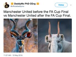 Manchester United dan Mourinho Jadi Bahan Meme Menyakitkan