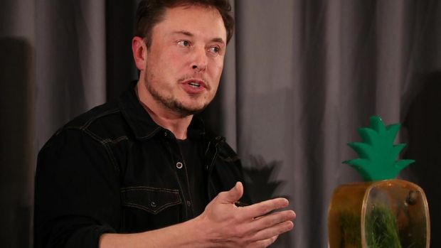 Elon Musk / 
