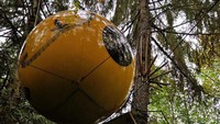 Foto: Traveler diajak menginap dalam rumah pohon yang bentuknya seperti bola mata raksasa (freespiritspheres/Instagram)