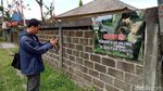 Ini Selokan Tempat Eksekusi Anjing di Bangli