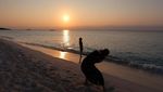 Foto: Pulau Terjauh Jepang yang Paling Cantik