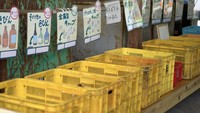 “Tujuannya adalah untuk mendaur ulang apa yang bisa kita daur ulang,” kata Manajer Stasiun Sampah, Kazuyuki Kiyohara. (Foto: Dok. ABC News Australia/Yumi Asada)