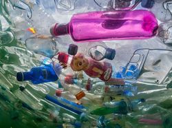 Potret Mengerikan Alam Tercemar Sampah Plastik