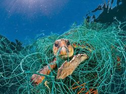 Potret Mengerikan Alam Tercemar Sampah Plastik