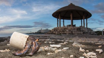 Hal inilah yang turut mendorong NatGeo untuk mengedukasi masyarakat dalam pemakaian jumlah plastik. Bahkan kalau bisa tidak perlu adanya lagi plastik di dunia ini. (Foto: National Geographic)
