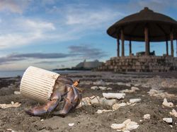 Potret Mengerikan Alam Tercemar Sampah Plastik