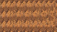 Kecepatan dan trik orang untuk menemukan gambar tersembunyi dari stereogram berbeda-beda, namun nih detikHealth bagi salah satu tipsnya. (Foto: Internet)