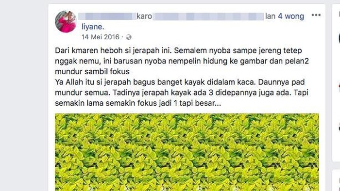Stereogram. Foto: Facebook/Atti Wulandari Stereogram. Foto: Facebook/Atti Wulandari