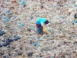 Potret Mengerikan Alam Tercemar Sampah Plastik