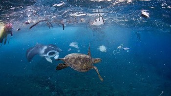 18 kilogram plastik berakhir di lautan setiap tahun. Dan itu hanya tampak seperti puncak gunung es tertulis pada bagian cover majalah tersebut. (Foto: National Geographic)