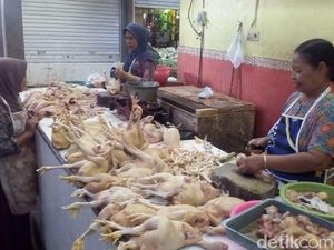 Daging Ayam Tembus Rp 37 Ribu/kg, Ini yang Dilakukan Pemkot Surabaya