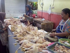 Masih Tinggi, Harga Daging Ayam di Jakarta Rp 35.000 per Ekor