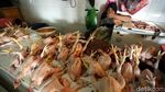 Ramadan, Harga Ayam Potong Terus Meroket