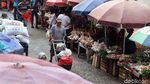 Ramadan, Harga Ayam Potong Terus Meroket