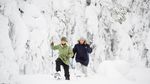 Foto: Finlandia, Si Negara Paling Aman dan Bahagia