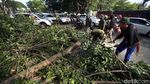 Penebangan Pohon Macetkan Jalan Asia Afrika Senayan