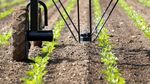 Keren! Robot Ini Diciptakan untuk Bantu Para Petani