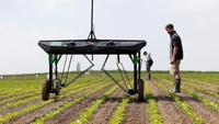 Sebuah perusahaan Start up asal Swiss bernama ecoRobotix mengembangkan sebuah Artificial Intelligent yang dapat mendeteksi jenis tanah dan karakteristik tanah suatu lahan untuk meminimalisir kegagalan panen. Denis Balibouse/Reuters.