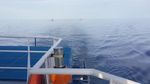 Operasi Bakamla Tangkap Dua Kapal Vietnam