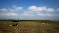 Dalam uji coba yang dilakukan disebuah ladang gula, mesin pembibitan otomatis ini melakukan penilaian jenis dan karakteristik tanah di ladang gula tersebut sebelum ditanami bibit. Denis Balibouse/Reuters.