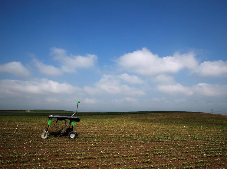 Melihat Penggunaan Artificial Intelligence di Bidang Pertanian Kemajuan teknologi telah merambah di berbagai bidang kehidupan. Kali ini dua perusahaan robotik dunia mencoba memberikan solusi baru bagi para petani.
