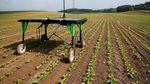 Keren! Robot Ini Diciptakan untuk Bantu Para Petani