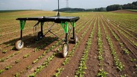Mesin ini tidak hanya mampu menilai jenis dan karakteristik tanah tetapi juga dilengkapi dengan weedkiller atau bibit pembunuh yang bisa menjadi pengganti pengunaan pestisida dan herbisida pada tanaman. Denis Balibouse/Reuters.
